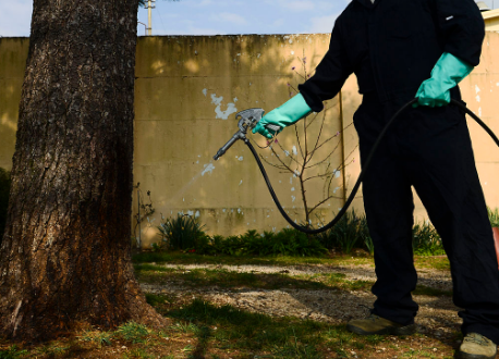 Spraying for all types of pests to  keep your home bug free
